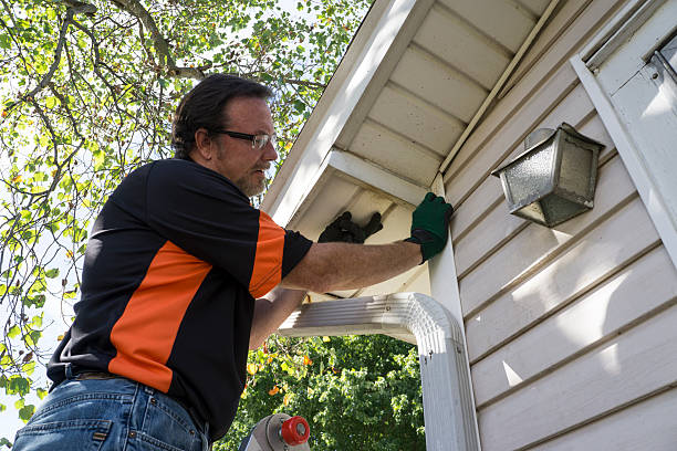 Best Engineered Wood Siding  in Stafford Courthouse, VA